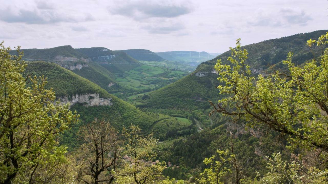 Le Colombier Saint-Veran La Roque-Sainte-Marguerite Exterior photo